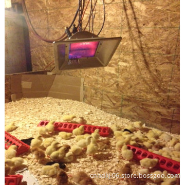 CE THD2606 Infrared heating system poultry farm house gas brooder